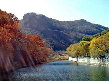 澳门二四六天天彩图库，皮鞋美容机